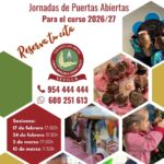 Jornada de puertas abiertas Colegio las artes de Sevilla